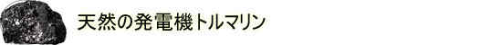 �V�R�̔��d�@�g���}����