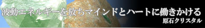 �V�R�ΐ��� ����