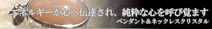 �V�R�ΐ��� �y���_���g���l�b�N���X