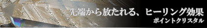 �V�R�ΐ��� �|�C���g