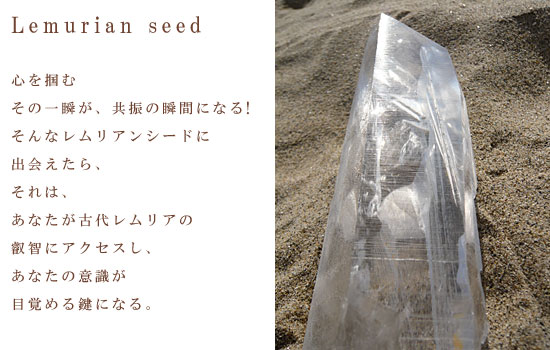 Lemurian seed